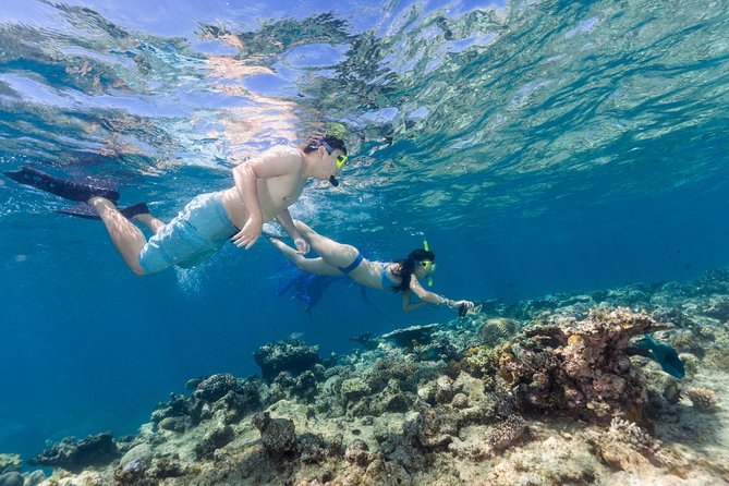 Great Barrier Reef Snorkeling and Diving Cruise from Cairns - Add a helicopter flight or stay in the water