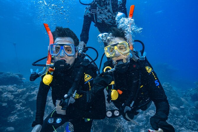 Great Barrier Reef with Cultural Guides-Dreamtime Dive & Snorkel - Safety and who will enjoy this trip