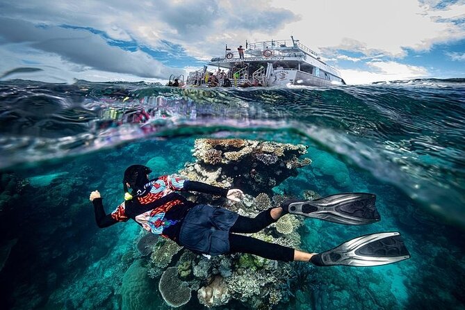 Great Barrier Reef with Cultural Guides-Dreamtime Dive & Snorkel - Moore Reef: your first two hours in the water