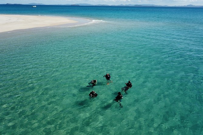 Great Keppel Island PADI Discover Scuba Dive with Keppel Dive - Key points at a glance
