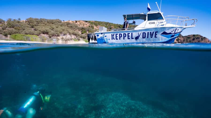 Great Keppel Island: PADI Discover SCUBA Diving - What this Great Keppel Island session actually offers