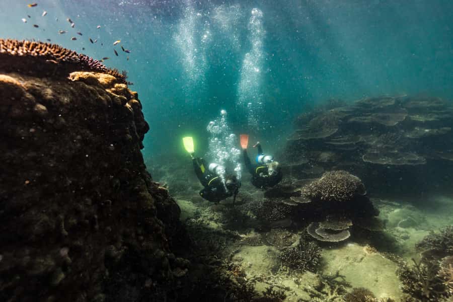 Great Keppel Island: PADI Discover SCUBA Diving - Is $130 good value?