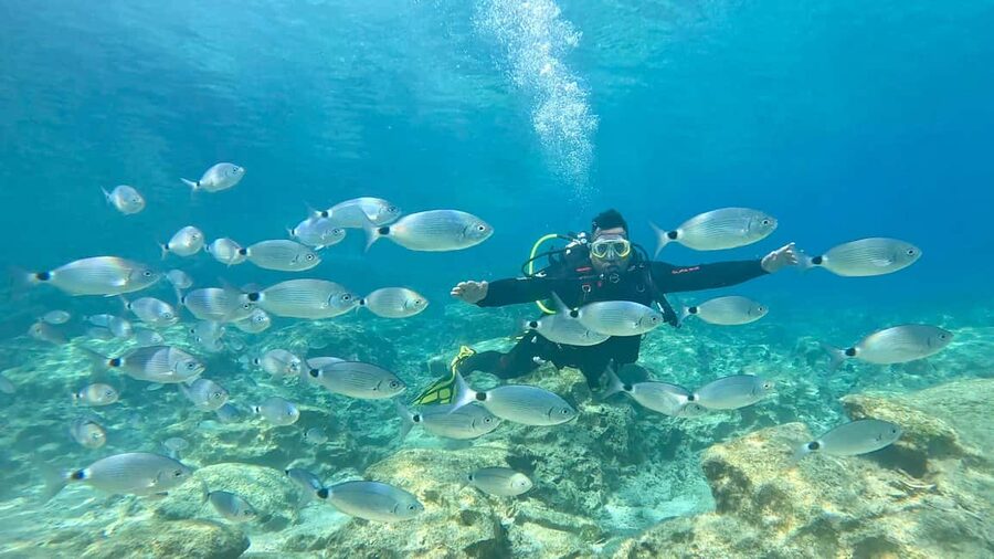 Green Bay Cyprus - Scuba diving - Guided Dive or Try Dive - Key things to know before booking