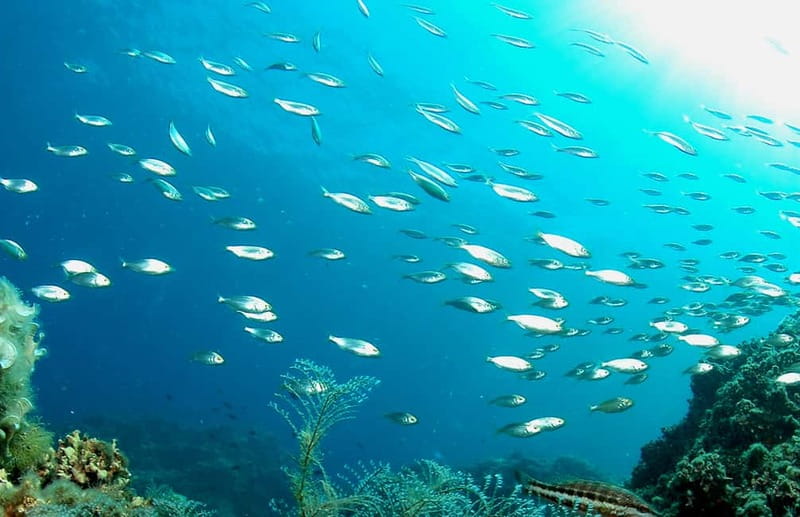Green Bay Cyprus - Scuba diving - Guided Dive or Try Dive - Meeting Jürgen and Susanna before entering the water