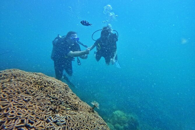 [GROUP] SCUBA DIVING For Beginners in Phu Quoc Island (TRY DIVE) - A beginner-friendly start at 7:30 a.m.