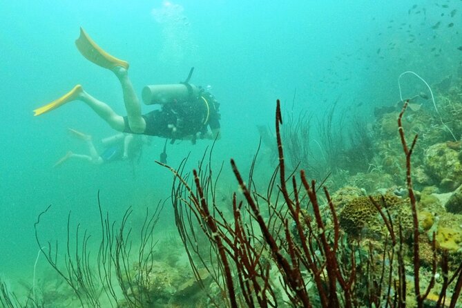 [GROUP] SCUBA DIVING for Certified Divers in Phu Quoc Island - Why the underwater sites are the main attraction