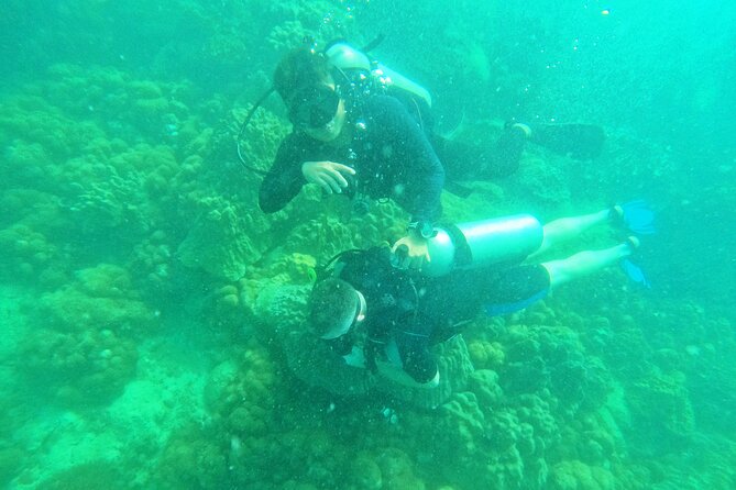[GROUP] SCUBA DIVING for Certified Divers in Phu Quoc Island - Hotel pickup, the pier, and the shared boat