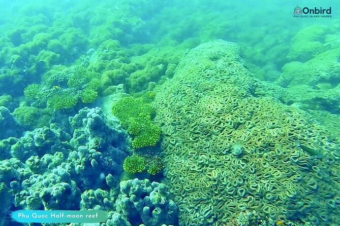 [GROUP] SCUBA DIVING for Certified Divers in Phu Quoc Island - Is $108 a fair price?