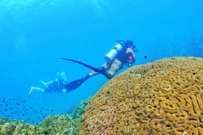 [GROUP] SCUBA DIVING for Certified Divers in Phu Quoc Island - Who will enjoy this Phu Quoc outing?