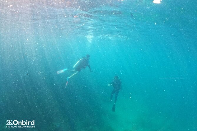 [GROUP] SCUBA DIVING for Certified Divers in Phu Quoc Island - Weather, cancellations, and small planning details