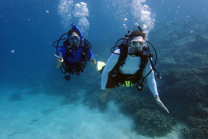 Guam's Best Beach Diving! Beginner and Advanced Dives - Certified participants can look for WWII artifacts