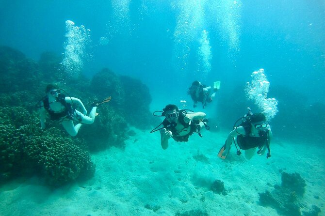 Guam's Best Beach Diving! Beginner and Advanced Dives - The shallow reef reaches about 20 feet