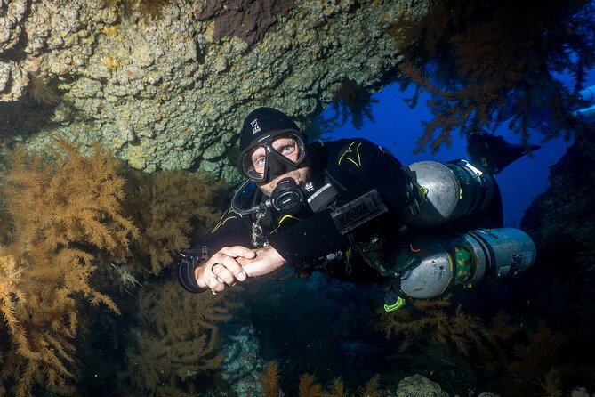 Guided Boat Dives for Certified Divers - Forty-five to fifty minutes beneath the surface