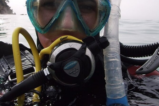 Guided dive for certified divers - Key points at a glance