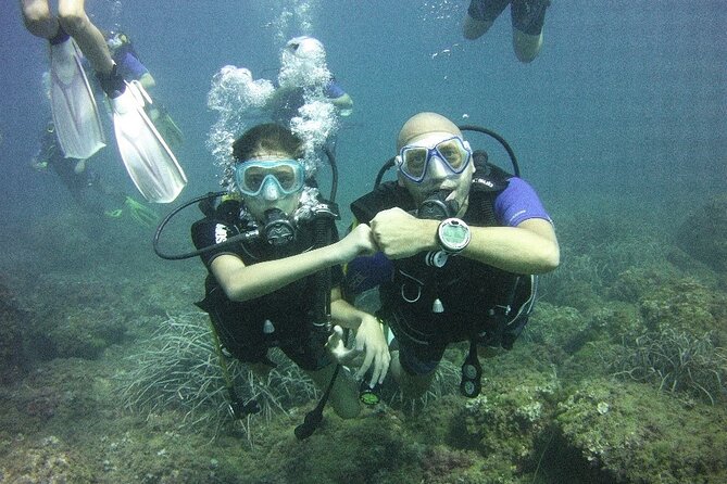 Guided dive for certified divers - Meeting the team on Via Dardanelli