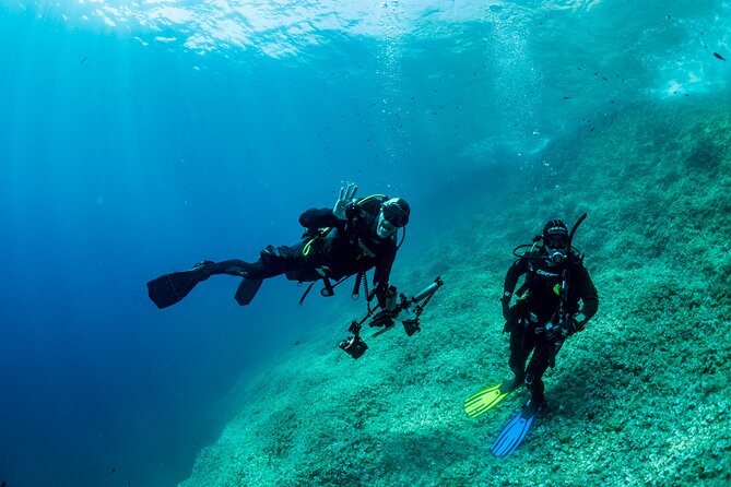 Guided diving for beginners without certification from Sorrento - What the small group changes