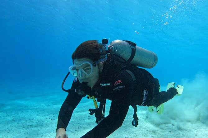 Guided Padi Discover Scuba Diving for Non-Certified Divers - Key points to know before booking