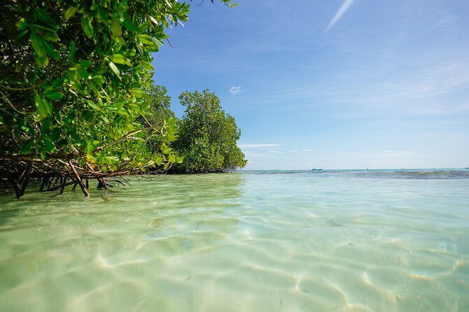 Guided Padi Discover Scuba Diving for Non-Certified Divers - The land lesson: equipment, breathing, and basic skills