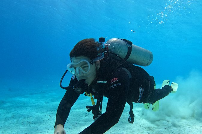 Guided Padi Discover Scuba Diving for Non-Certified Divers - Why the instructors matter so much