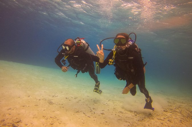 Guided Padi Discover Scuba Diving for Non-Certified Divers - Booking, cancellation, and practical planning