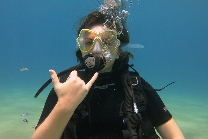 Guided Scuba Dive in Lahaina: Certified - What the Small Group Adds