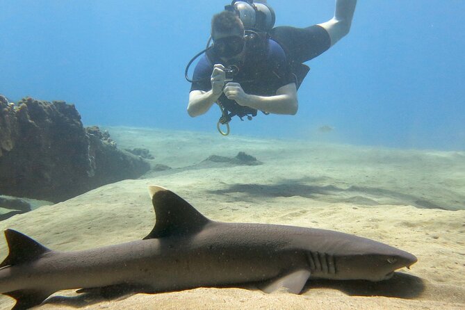 Guided Scuba Dive in Lahaina: Certified - Is $189 a Fair Price?