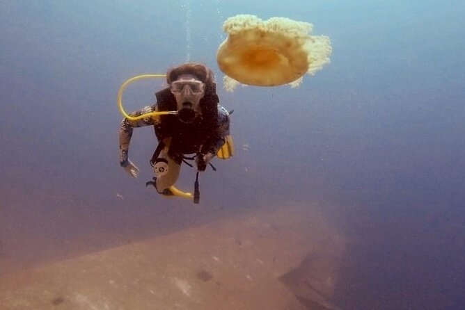 Guided Scuba Diving Adventure in Aqaba - Meeting at the Aqaba dive center