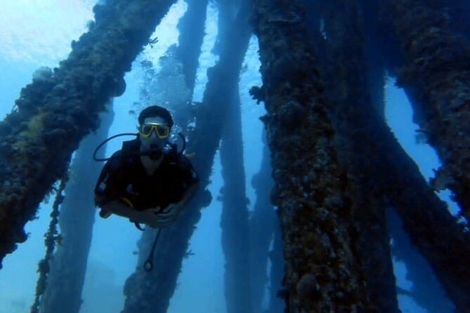 Guided Scuba Diving Adventure in Aqaba - Getting to the Red Sea site