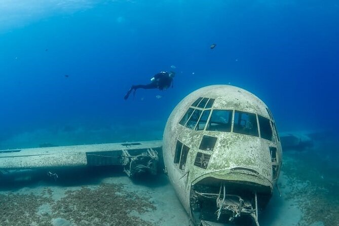 Guided Scuba Diving Adventure in Aqaba - Training that helps first-timers relax