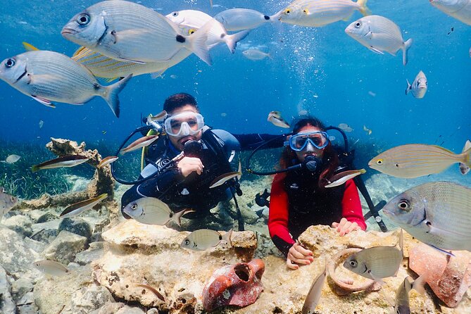 Guided Scuba Diving Experience in Kusadasi - Five things to know before you book