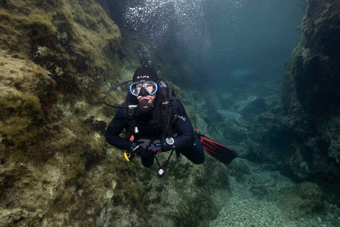 Guided SCUBA Diving for Certified Divers in Athens - Starting at the Nautilus center