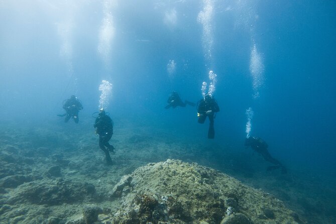 Guided SCUBA Diving for Certified Divers in Athens - Is $108.14 good value?