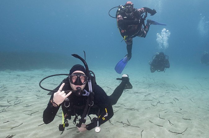 Guided SCUBA Diving for Certified Divers in Athens - Who will enjoy this most?