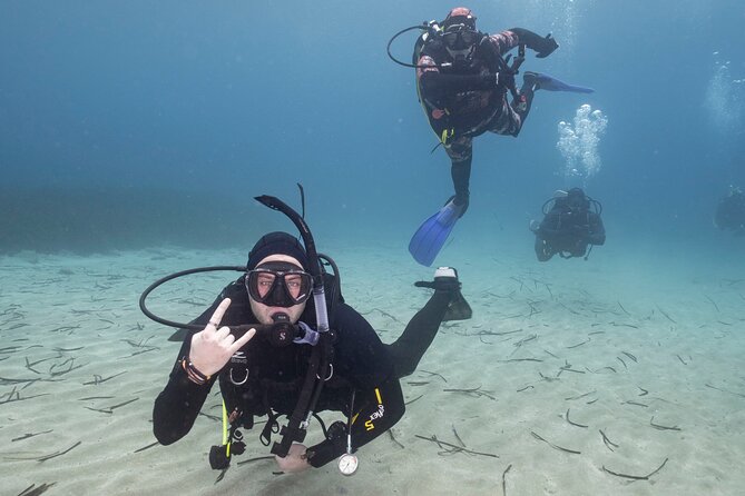 Guided SCUBA Diving for Certified Divers in Athens - Three coves, reefs, and shore access