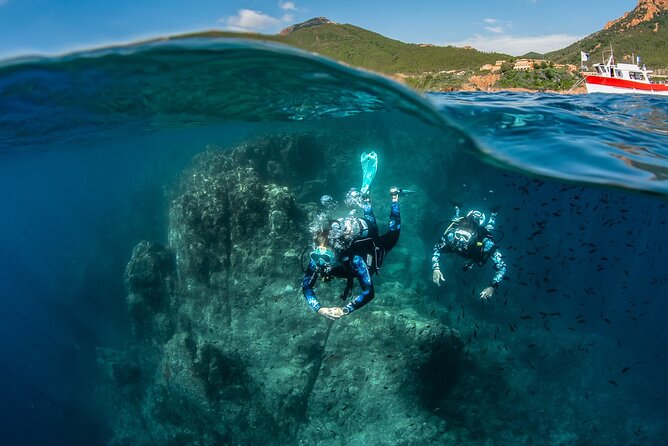 guided Scuba Diving on Tenerife (for certified divers) - Starting at Scubanana Dive Center in Radazul