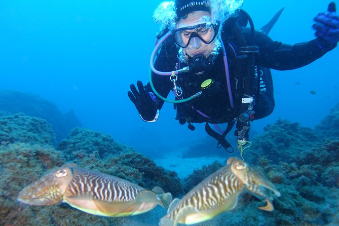 guided Scuba Diving on Tenerife (for certified divers) - Practical fitness and safety details