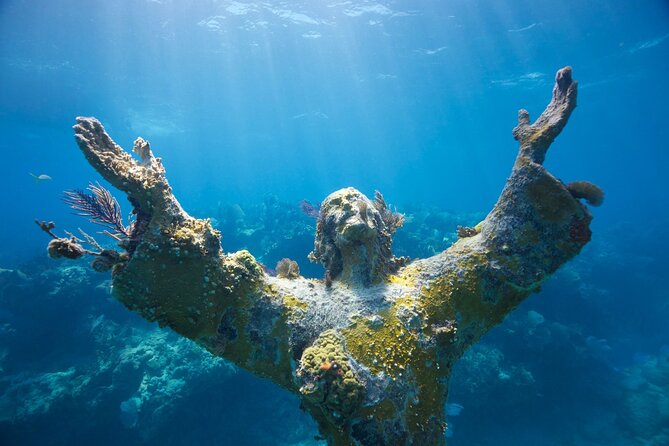 Guided Shallow 2 Tank Dive Trip for CERTIFIED SCUBA DIVERS ONLY! - Why the certified-diver rule matters