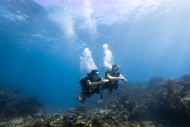 Guided Shallow 2 Tank Dive Trip for CERTIFIED SCUBA DIVERS ONLY! - A guide-led pace without a classroom feel