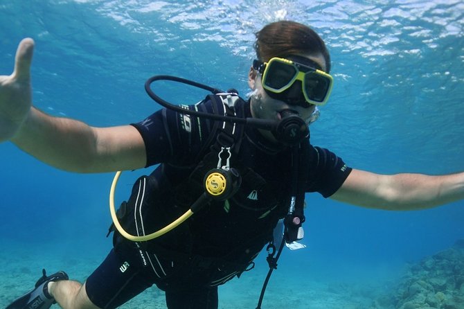 Guided Shore Dive for Certified Divers with Scubaçao (1 tank) - How the transport and cruise timing work
