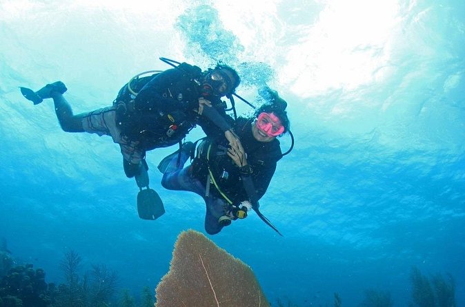 Guided Shore Dive for Certified Divers with Scubaçao (1 tank) - What the strongest praise tells you