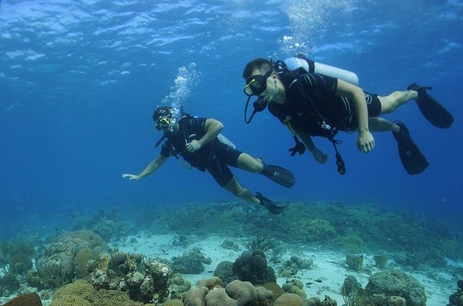 Guided Shore Dive for Certified Divers with Scubaçao (1 tank) - Who should book this Curaçao scuba outing