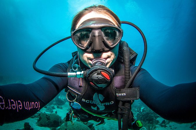 Guided Shore Dive for Certified Divers with Scubaçao (2 tank) - What you may see below the surface