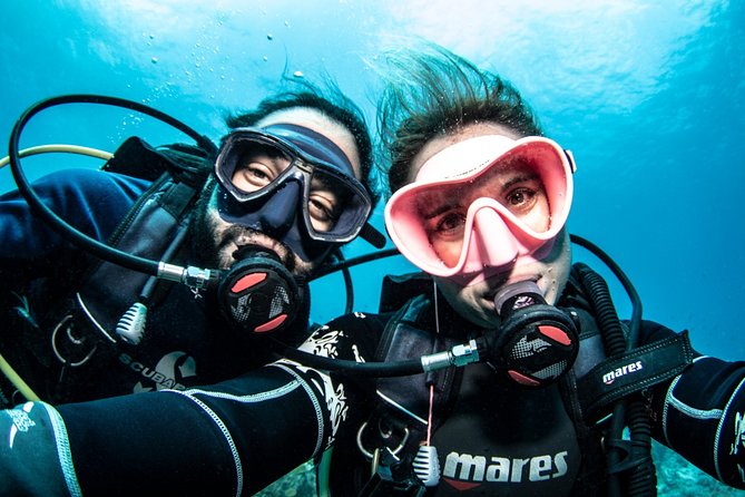 Guided Shore Dive for Certified Divers with Scubaçao (2 tank) - Two tanks, two different underwater settings