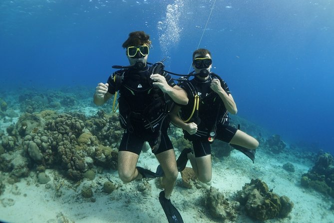 Guided Shore Dive for Certified Divers with Scubaçao (2 tank) - Is $155 a fair price?
