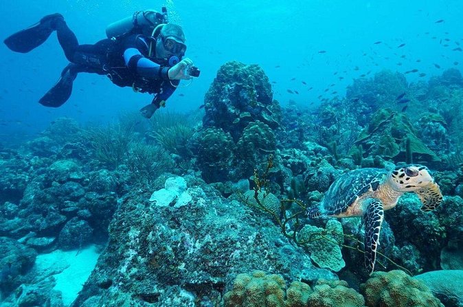 Guided shore dive on one of our house reefs for Certified Divers. - The guides and the safety approach