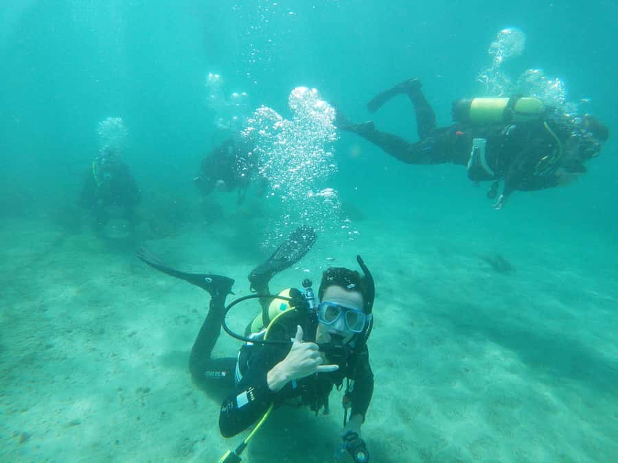 Guided Shore Dive Tour for Certified Divers - ABC Bay, Shag Rock, and Waterfall Reef