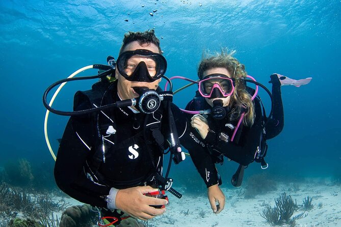 guided Shore Diving in Bonaire Marine Park with 2 Dives - Key points to know before booking