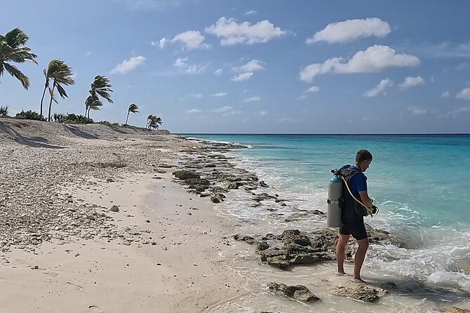 guided Shore Diving in Bonaire Marine Park with 2 Dives - Equipment, certification, and physical demands
