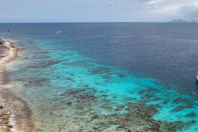 guided Shore Diving in Bonaire Marine Park with 2 Dives - Is $200 a good value?