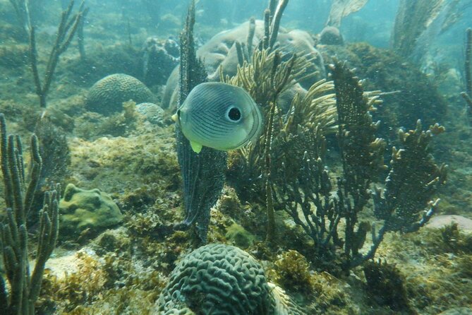 Guided Shore Diving Tour - Weather changes are part of the deal